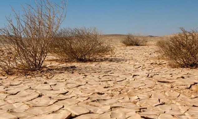How to reduce effects of drought to prevent desertification?