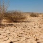 How to reduce effects of drought to prevent desertification?