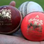 Saliva ban: Dukes ball manufacturing company suggests another method