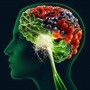 Foods that boost your mental health