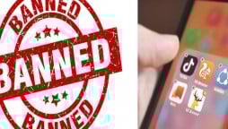 India bans 59 Chinese-made applications, including TikTok