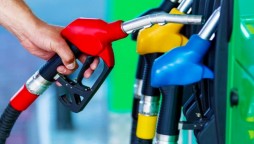 Petrol shortage: Oil marketing companies submitted a response