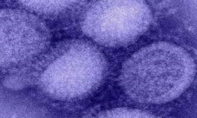 Another flu virus with ‘pandemic potential’ found in China