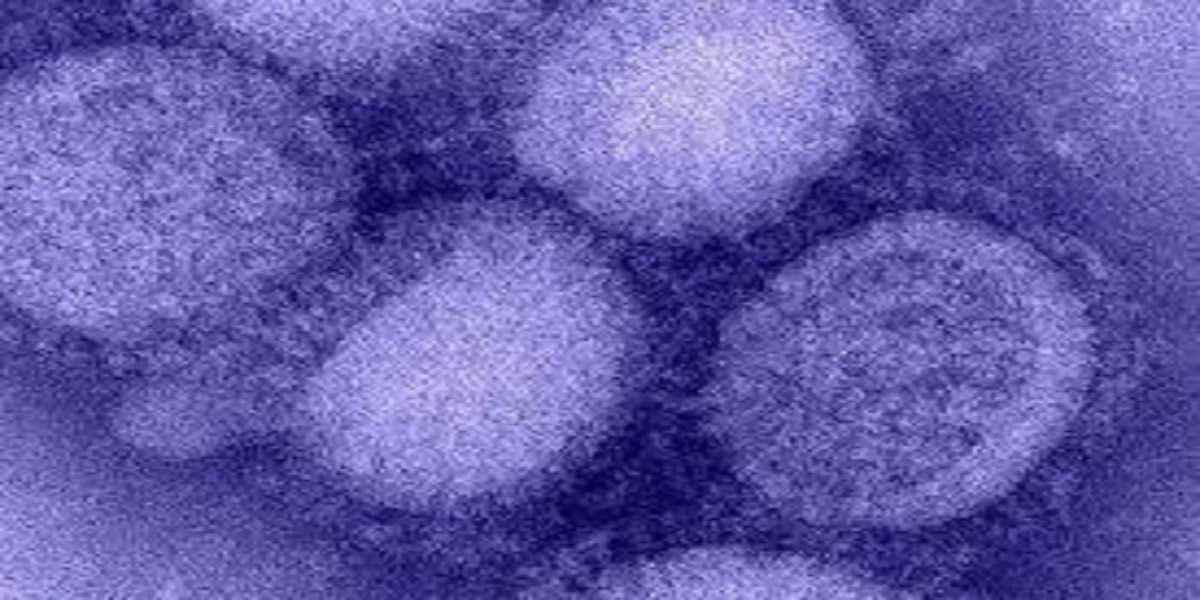 Another flu virus with 'pandemic potential' found in China