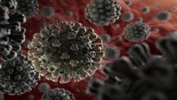 Coronavirus: Hong Kong reports first case of reinfection