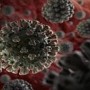 Coronavirus: Hong Kong reports first case of reinfection