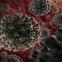 Global coronavirus cases exceed 10 million