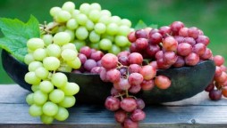 Grapes associated with lower Alzheimer's risk, study suggests