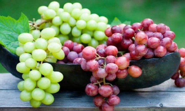 Grapes associated with lower Alzheimer’s risk, study suggests