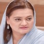PML-N suspends all political activities until Begum Shamim’s funeral