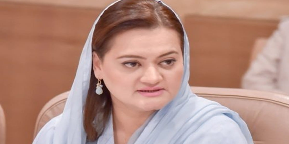 PML-N suspends political activities