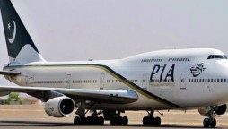 PIA flight attendant disappears in Canada, investigation launched