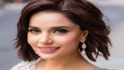 Armeena Khan hater