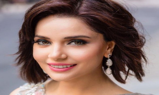 Armeena Khan claps back at online hater