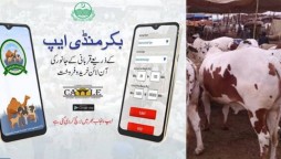 Punjab Govt launches Bakra Mandi App for Online Purchase of Sacrificial Animals