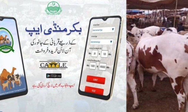Punjab Govt launches Bakra Mandi App for Online Purchase of Sacrificial Animals