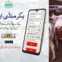 Punjab Govt launches Bakra Mandi App for Online Purchase of Sacrificial Animals