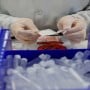 Russia approves ‘Coronavir’ drug to fight against novel Coronavirus