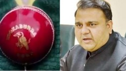 Fawad Chauhdry Cricket Balls