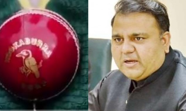 Fawad Chauhdry Cricket Balls