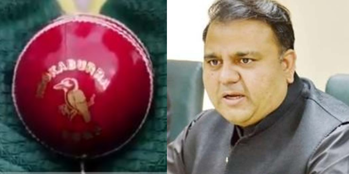 Fawad Chauhdry Cricket Balls