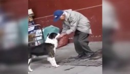 WATCH: This elderly man is the true example of kindness & humanity