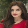 FIA arrests the man who blackmailed TikToker Jannat Mirza and her sister