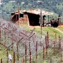 ISPR: Indian Firing along LoC injures 5 civilians