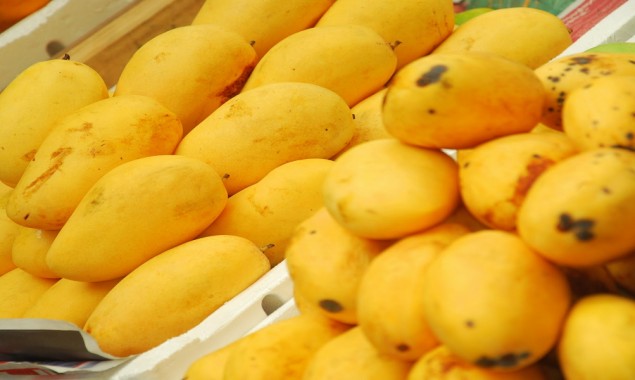 Pakistani mangoes on their way to Japan