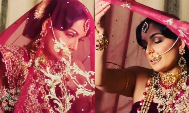 Meera Jee shows her elegant dance moves