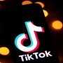 TikTok to take legal action against Trump over ban