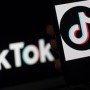TikTok faces $155,000 fine for mishandling child data in South Korea