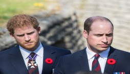 Prince William and Harry to divide Diana fund’s earnings