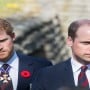 Prince William and Harry to divide Diana fund’s earnings