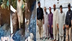 Mardan: 4 accused arrested for destroying historic Buddha statue