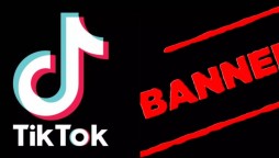 TikTok ban: PTI submits resolution in Punjab Assembly