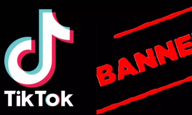TikTok ban: PTI submits resolution in Punjab Assembly