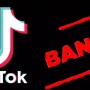 TikTok ban: PTI submits resolution in Punjab Assembly