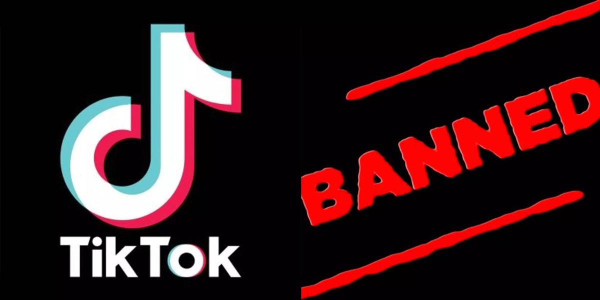 TikTok ban: PTI submits resolution in Punjab Assembly