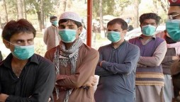 More than 81% of coronavirus patients recover in Pakistan