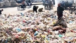 Sindh High Court judges express dismay to see pictures of Karachi's garbage piles