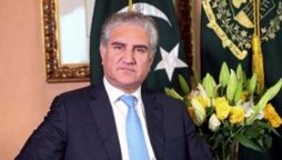 Govt asks opposition for opinion on NAB draft: FM Qureshi