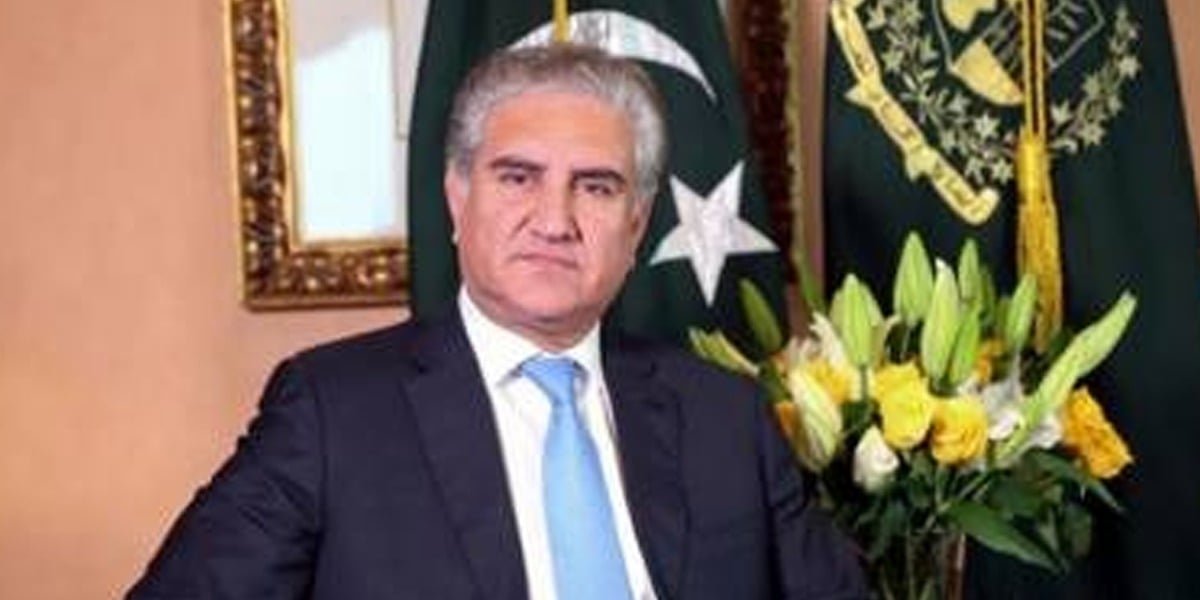 Govt asks opposition for opinion on NAB draft: FM Qureshi