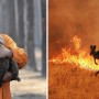 Australia: ‘Forest fires kill or displace nearly 3 billion animals’