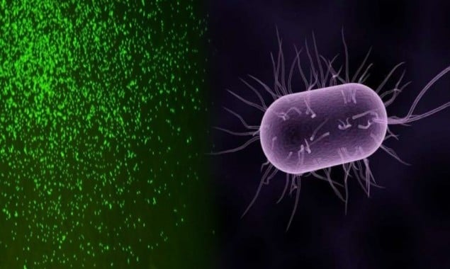 Scientists revive dormant microbes after 100 million years