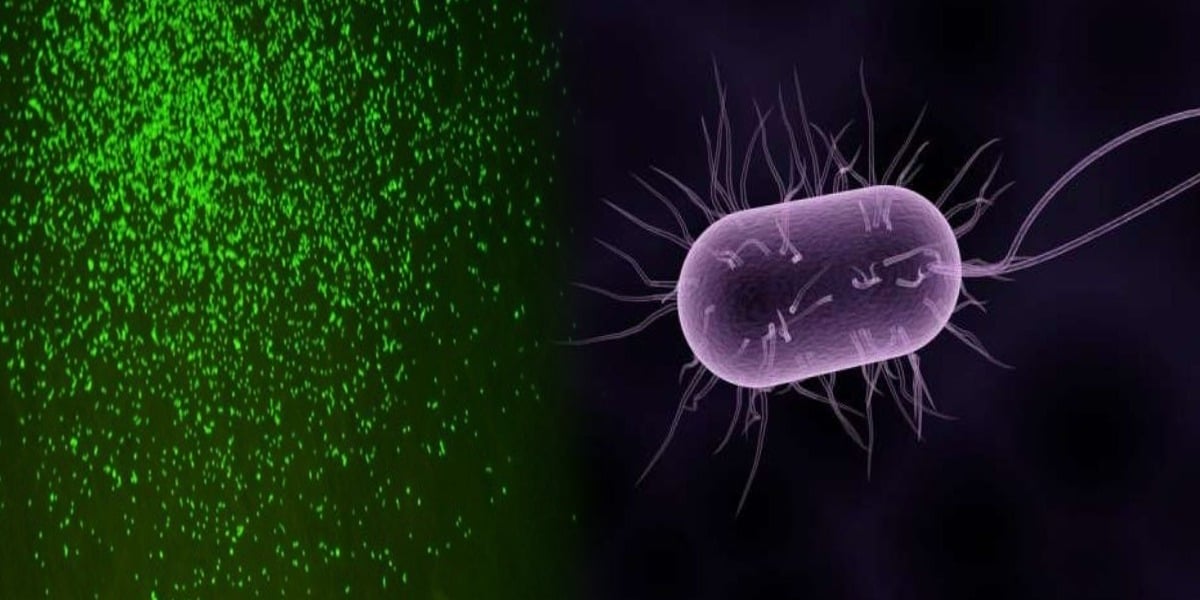 Scientists revive dormant microbes after 100 million years