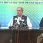 Will stand with Kashmiris till final victory: FM Qureshi