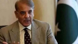 Aviation Minister's 'Mindless' Speech Led To Ban On PIA: Shehbaz Sharif
