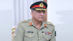 COAS General Qamar Javed Bajwa calls on Egyptian Ambassador