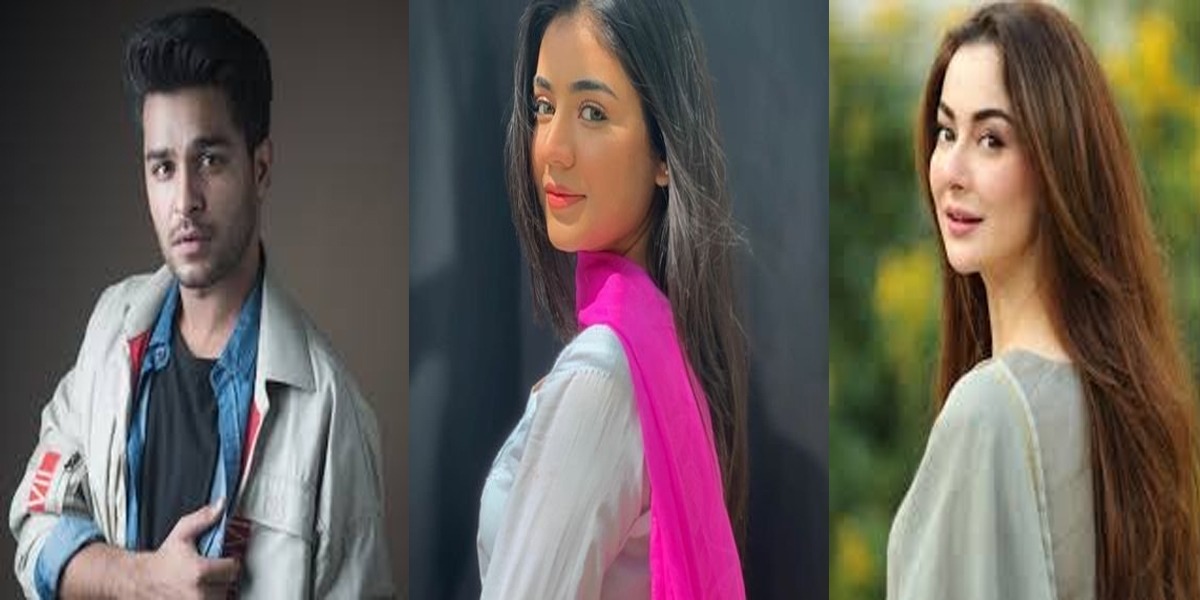 Is Areeqa Haq responsible for Hania-Asim breakup?